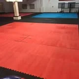 Mat-Su MMA academy photo