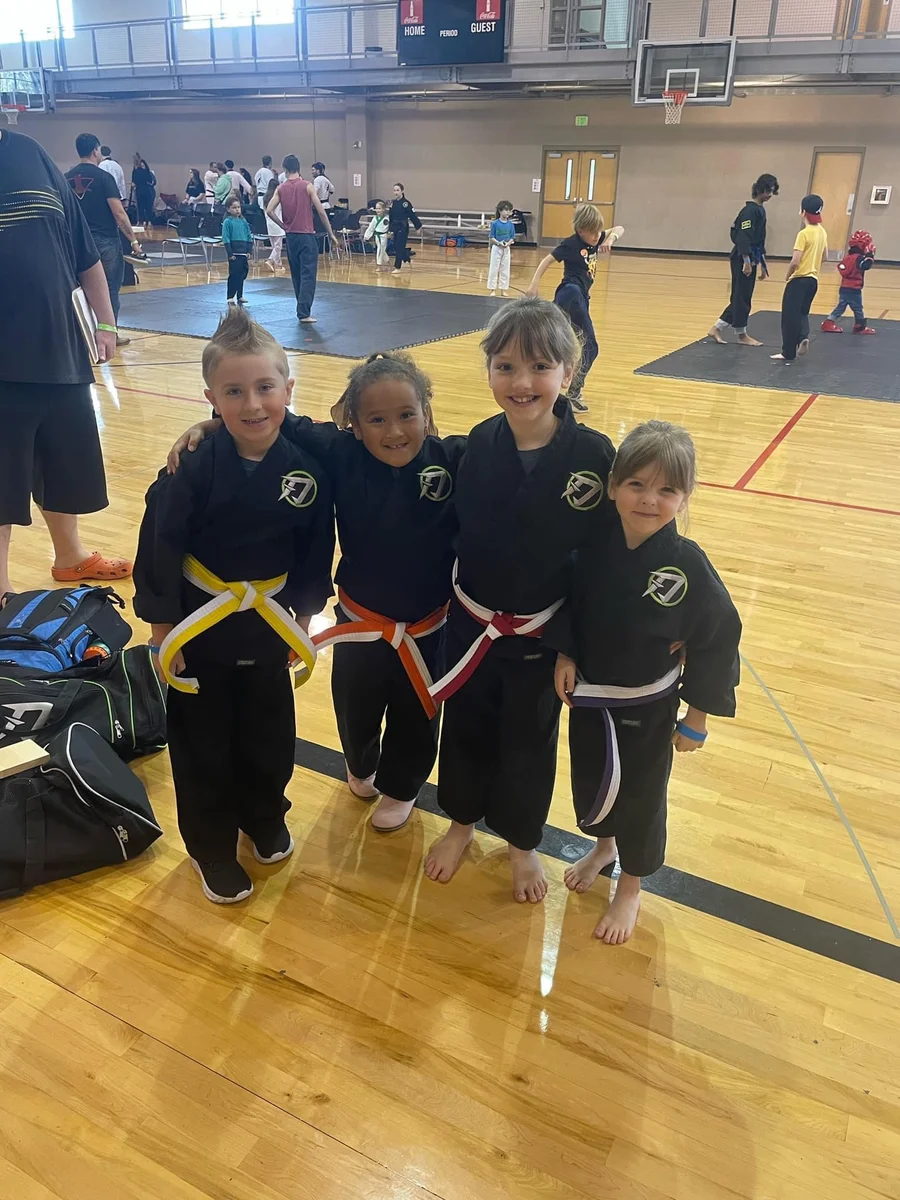 NEXTGEN MARTIAL ARTS academy photo