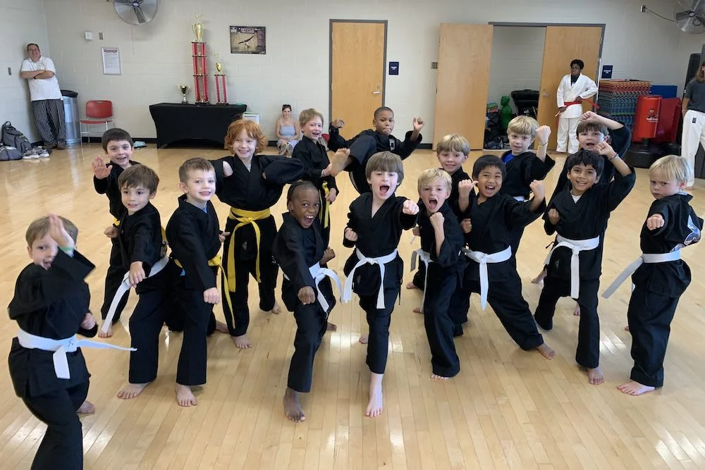 North Star Martial Arts academy photo