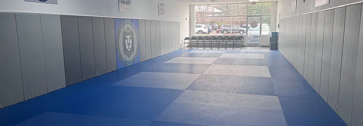 Lion Heart Jiu-Jitsu Academy facility image