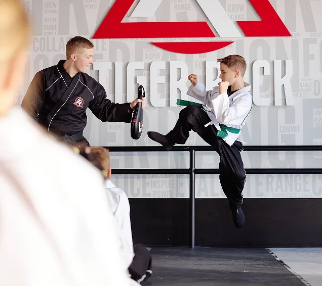 Tiger-Rock Martial Arts of Birmingham academy logo
