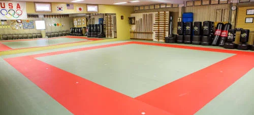 USA Martial Arts Bluff Park Dojo facility image
