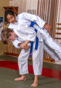 USA Martial Arts Bluff Park Dojo facility image