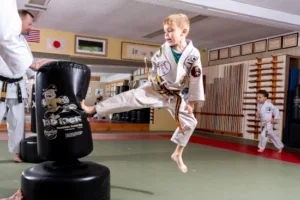 USA Martial Arts Bluff Park Dojo facility image
