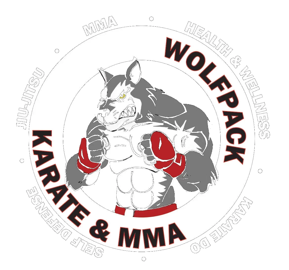 Wolfpack Karate & MMA academy photo
