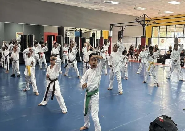 All Star Martial Arts academy photo