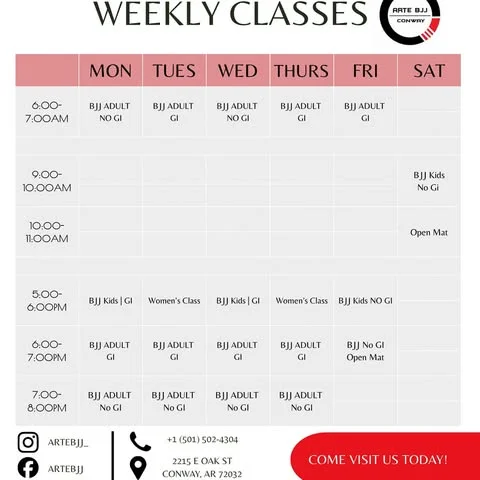 ARTE BJJ academy photo