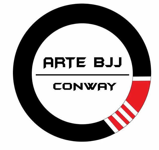 ARTE BJJ academy photo