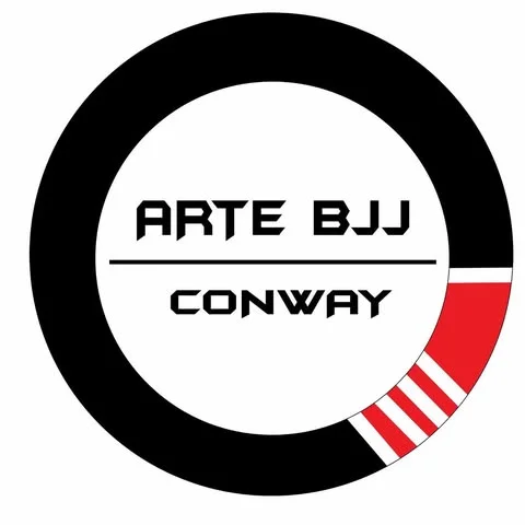 ARTE BJJ academy photo
