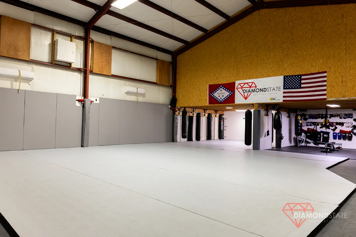 Diamond State Martial Arts academy photo