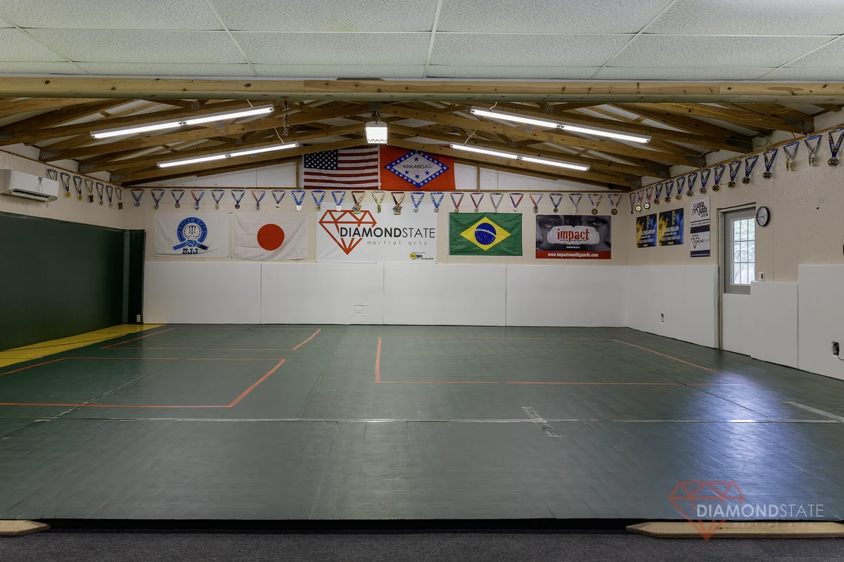 Diamond State Martial Arts academy photo