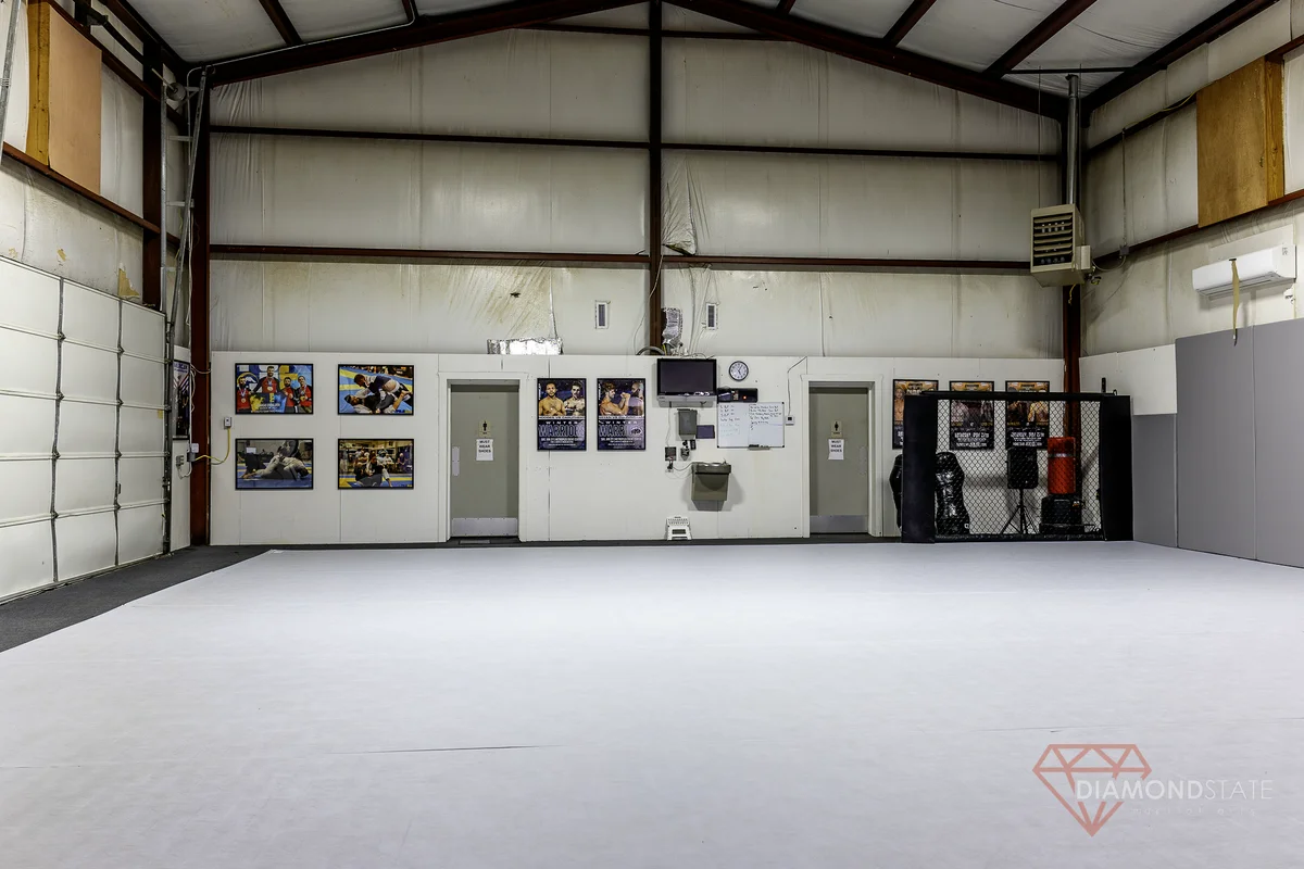 Diamond State Martial Arts academy photo