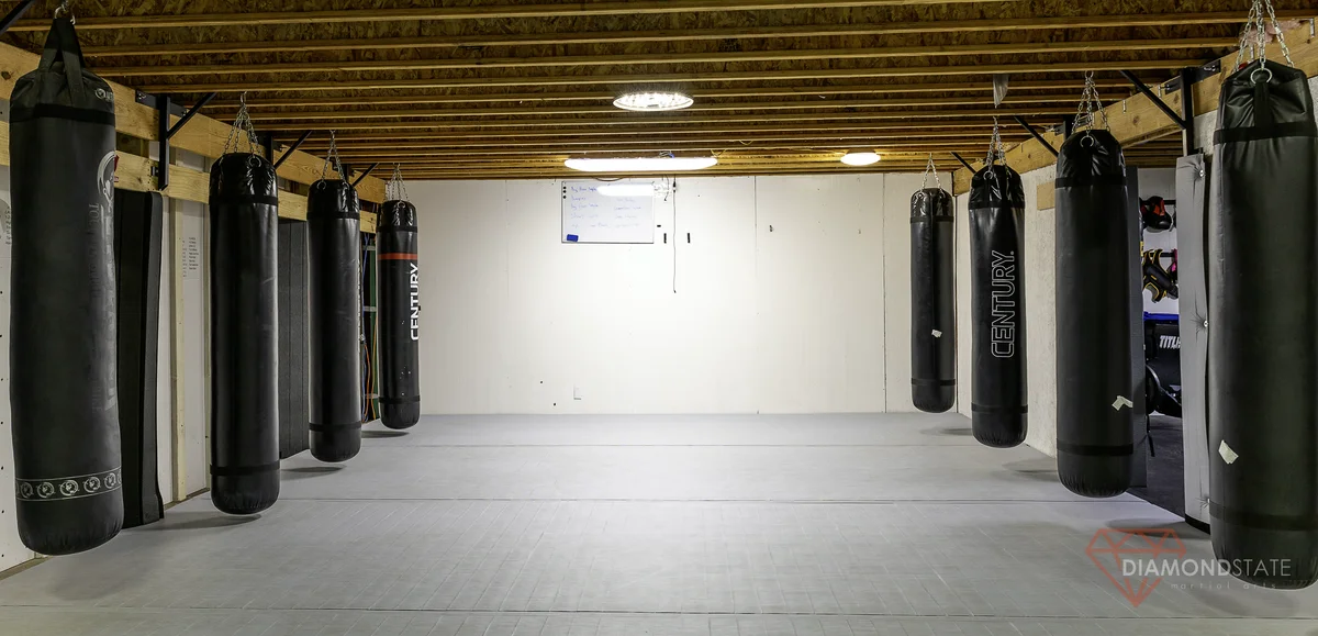 Diamond State Martial Arts academy photo
