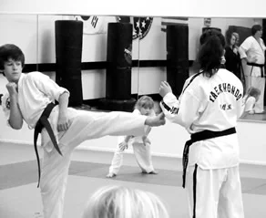 Fayetteville Martial Arts Academy academy photo