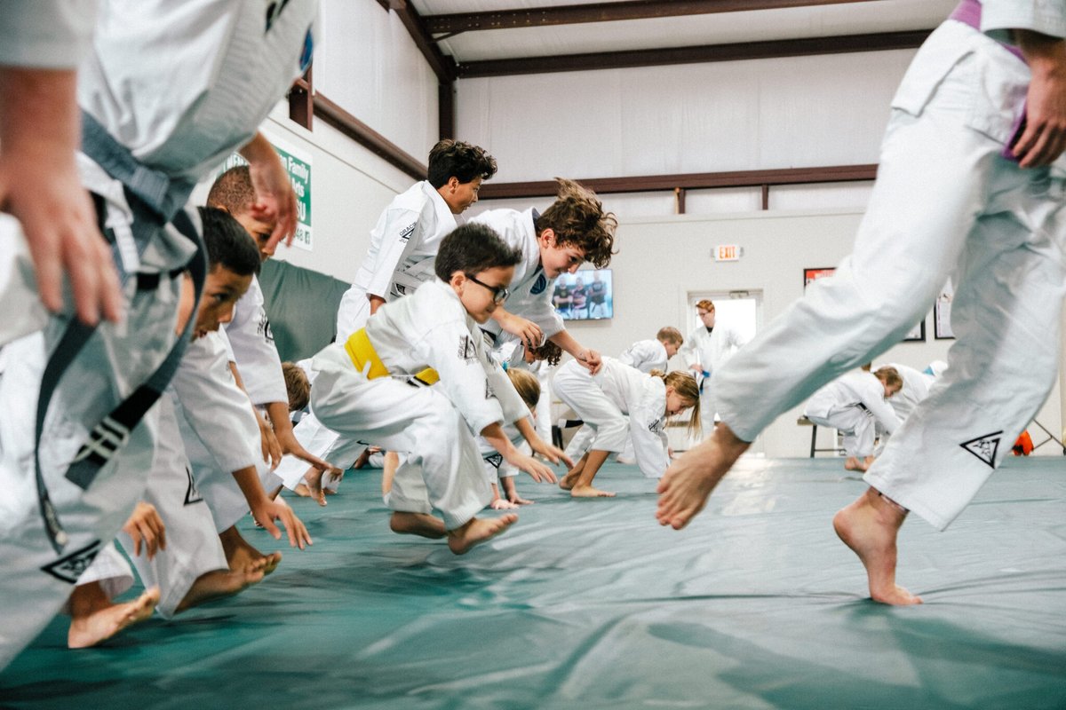 Gracie Jiu-Jitsu Jonesboro academy photo