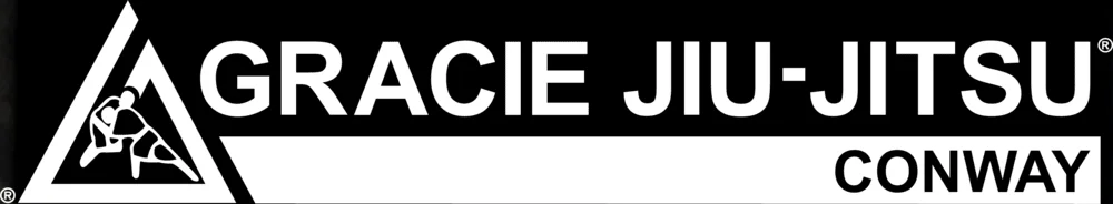 Grandmaster Han's Martial Arts & Gracie Jiu-Jitsu Academy academy photo