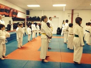 Living Defense Martial Arts academy photo