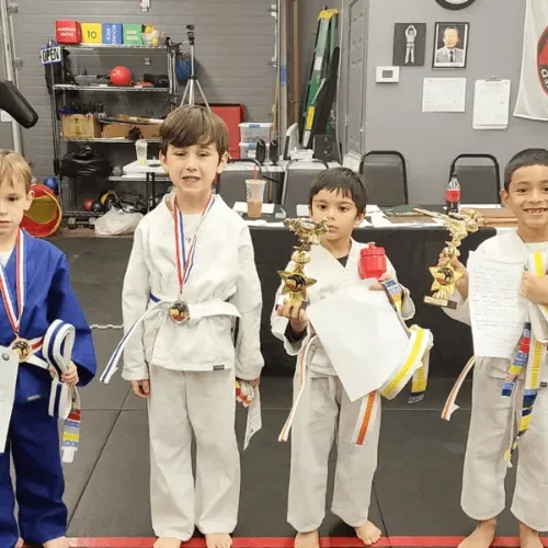 Martial Arts Advantage academy photo