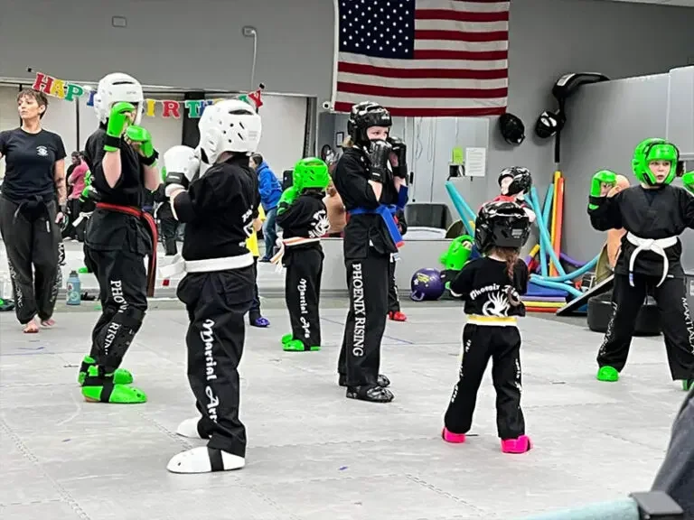Phoenix Rising Martial Arts academy photo