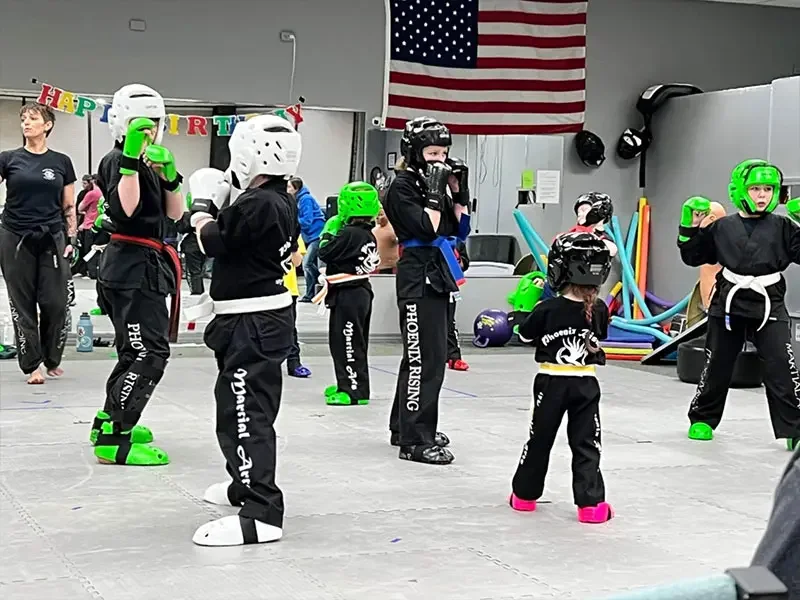 Phoenix Rising Martial Arts academy photo