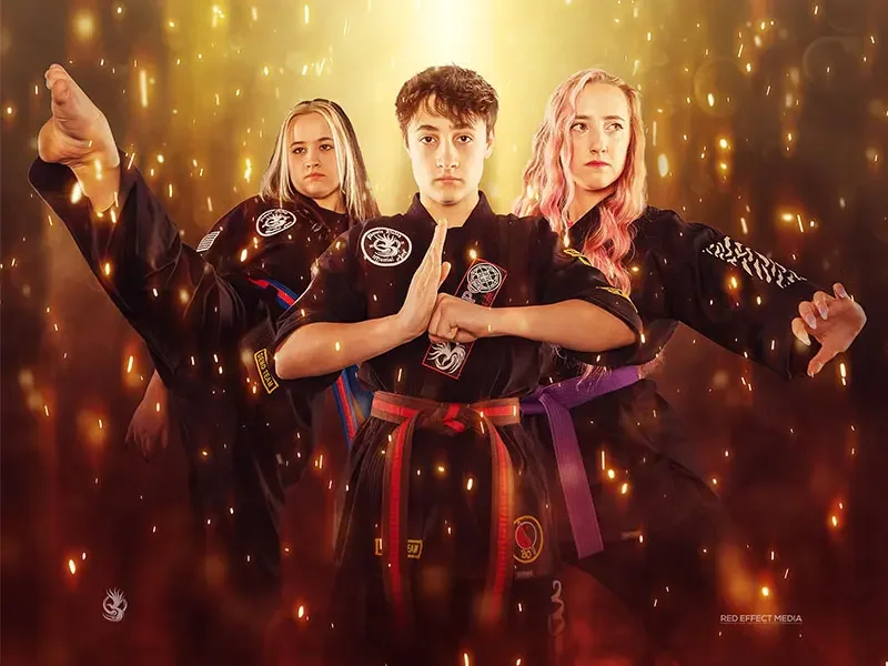 Phoenix Rising Martial Arts academy photo