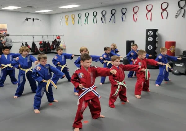 Professional Black Belt Academy academy photo