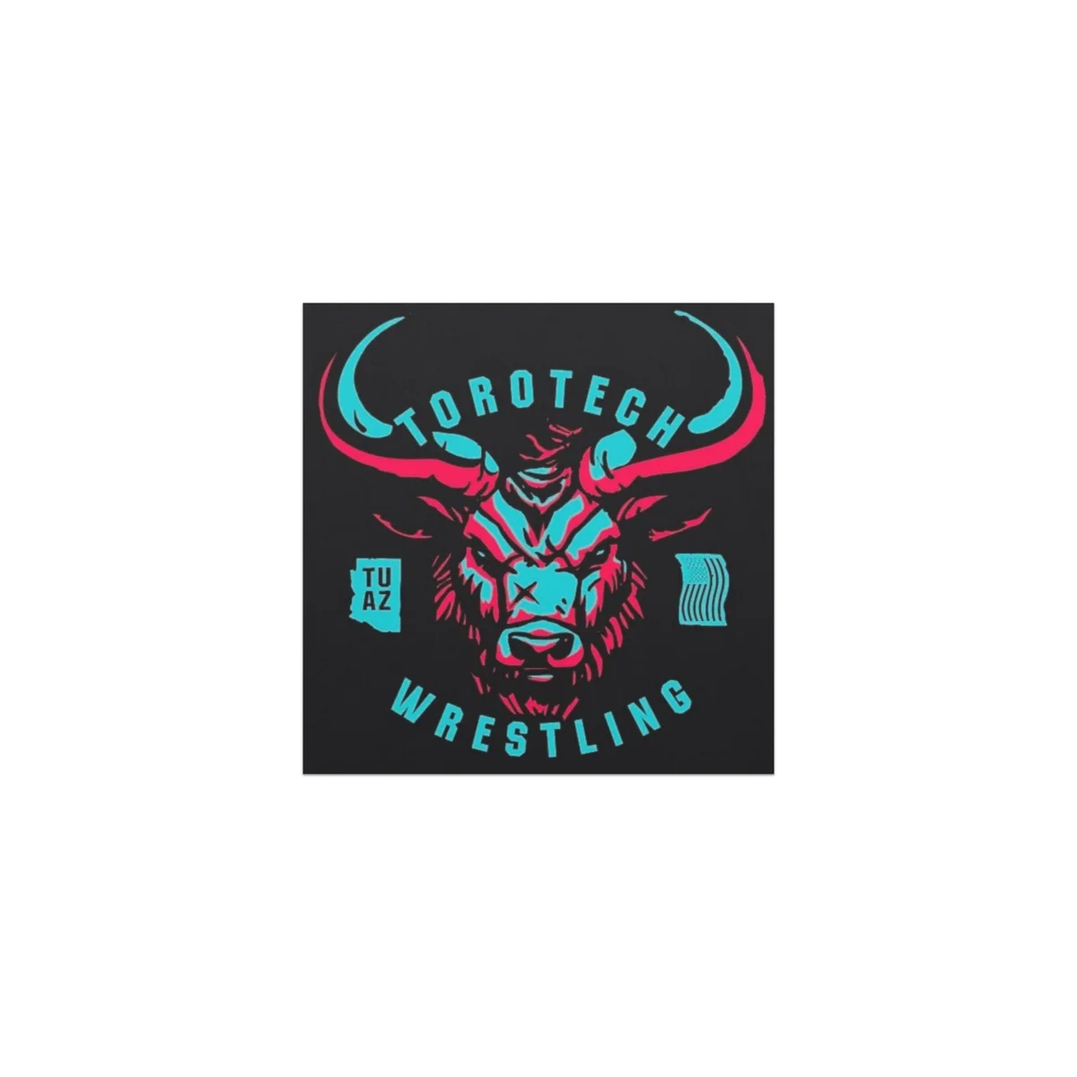 Torotech Mixed Martial Arts / 10th Planet Tucson at Torotech MMA facility image