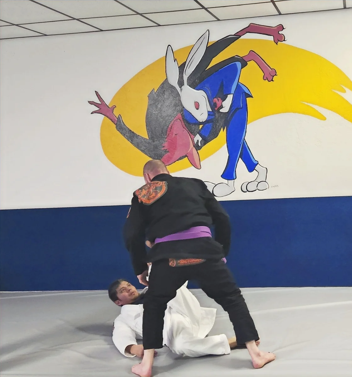66 Jiu Jitsu facility image