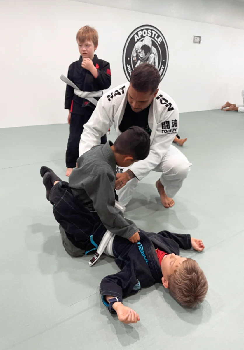 APOSTLE JIU-JITSU ACADEMY academy photo
