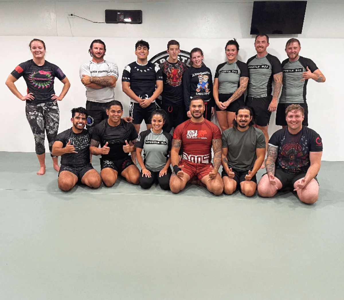APOSTLE JIU-JITSU ACADEMY academy photo