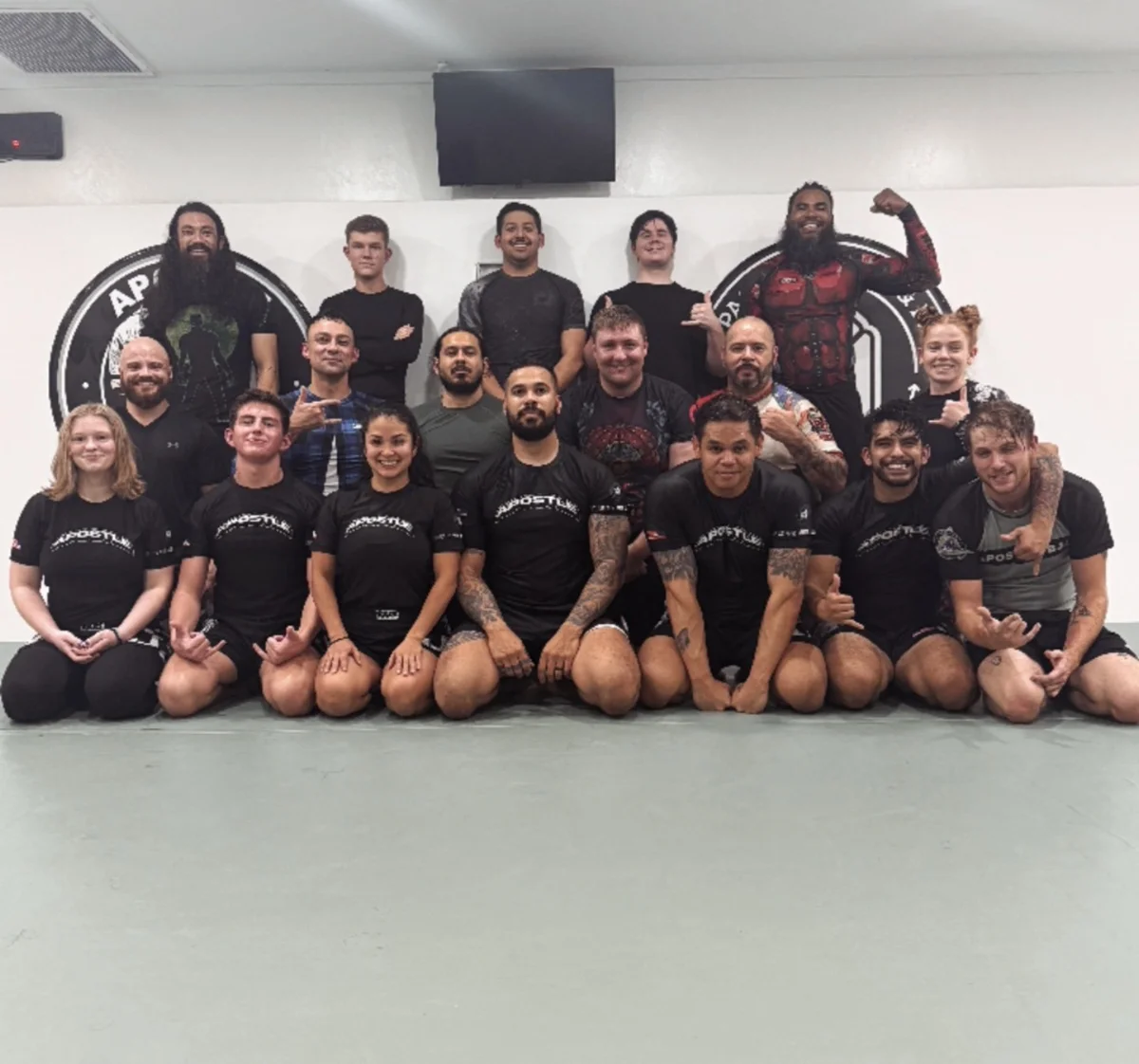 APOSTLE JIU-JITSU ACADEMY academy photo