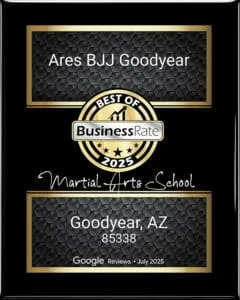 Ares BJJ Phoenix academy logo