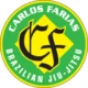 Ares East Mesa Brazilian Jiu Jitsu academy logo