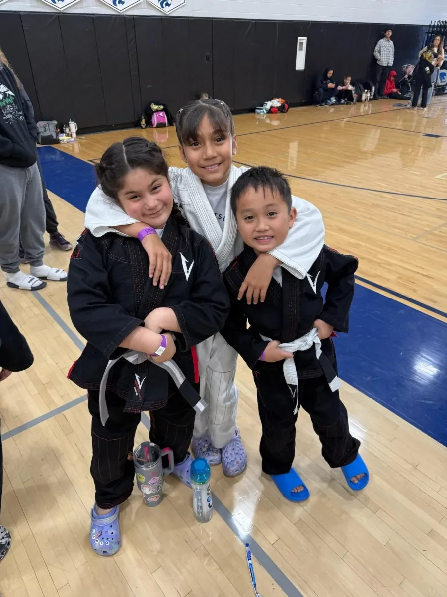 Artisan JiuJitsu facility image