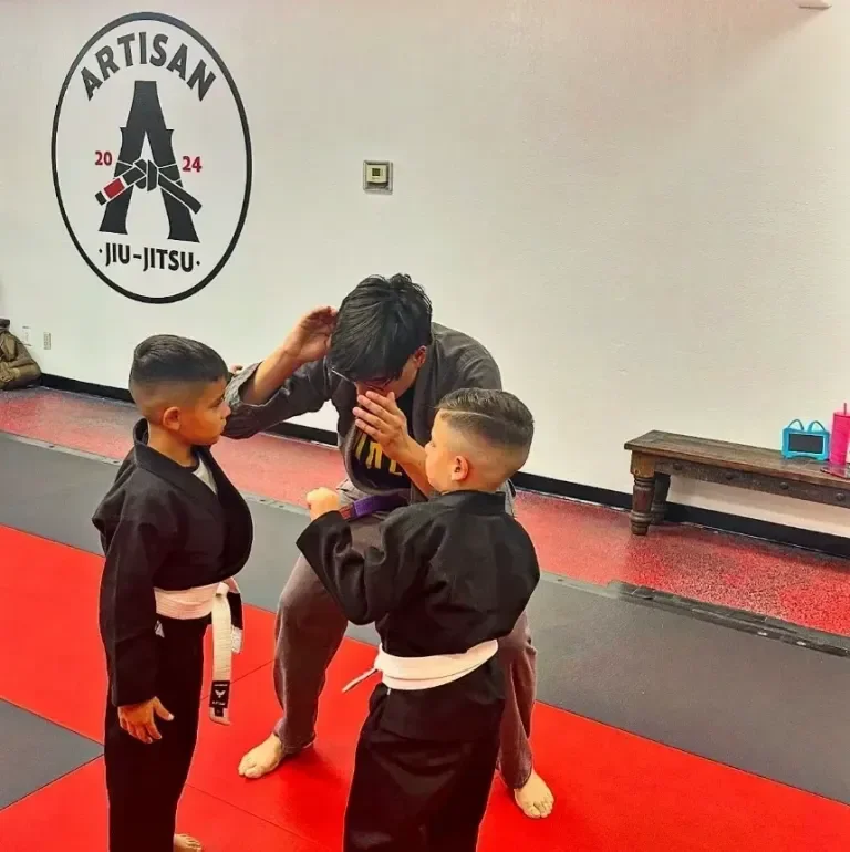 Artisan JiuJitsu facility image