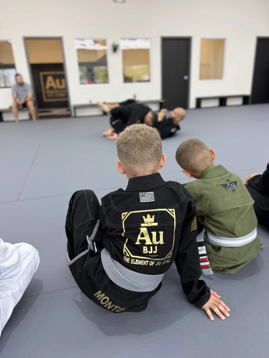 Auburn Brazilian Jiu-Jitsu facility image