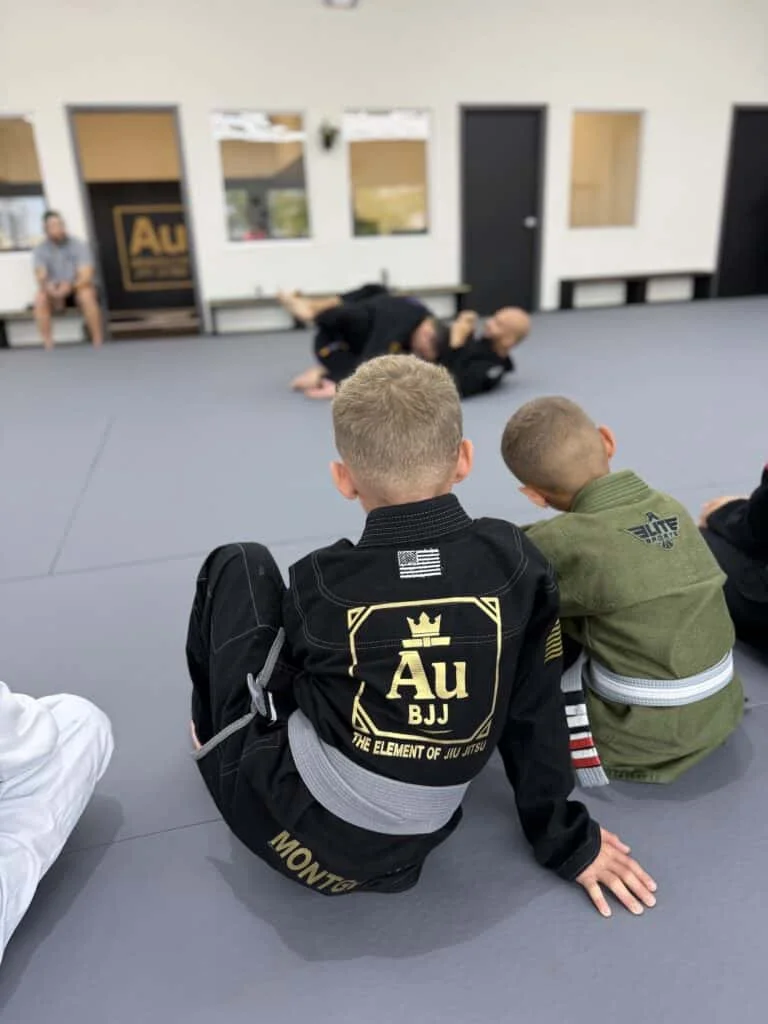 Auburn Brazilian Jiu-Jitsu facility image