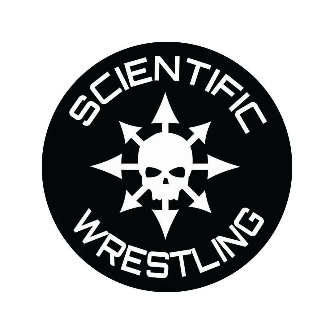 Black Flag academy logo