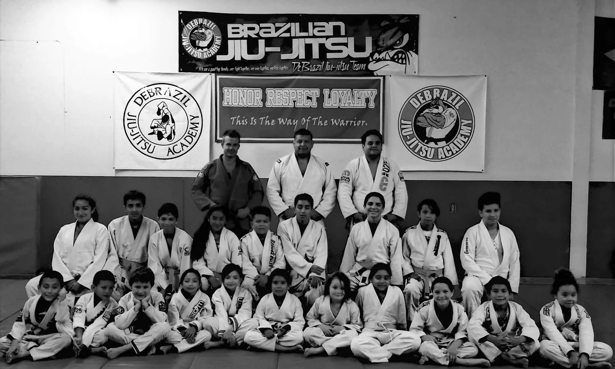 DeBrazil Jiu-Jitsu academy logo