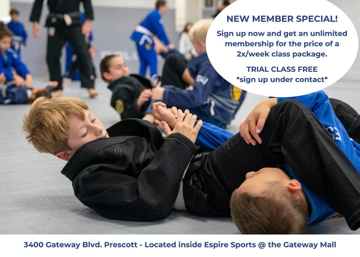 Excellence School of Jiu Jitsu facility image