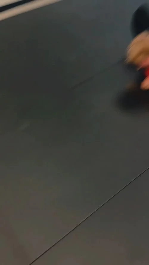 Forte Jiu Jitsu facility image