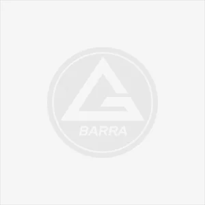Gracie Barra - Anthem academy photo