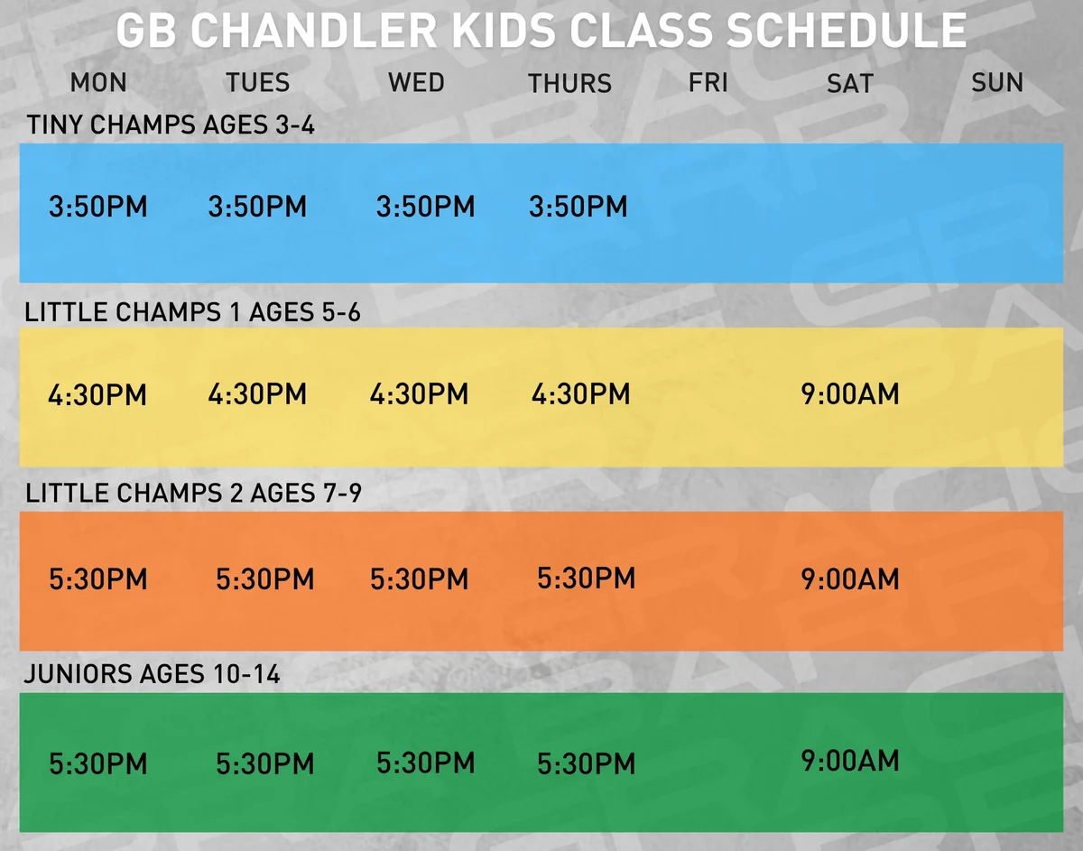 Gracie Barra Chandler facility image