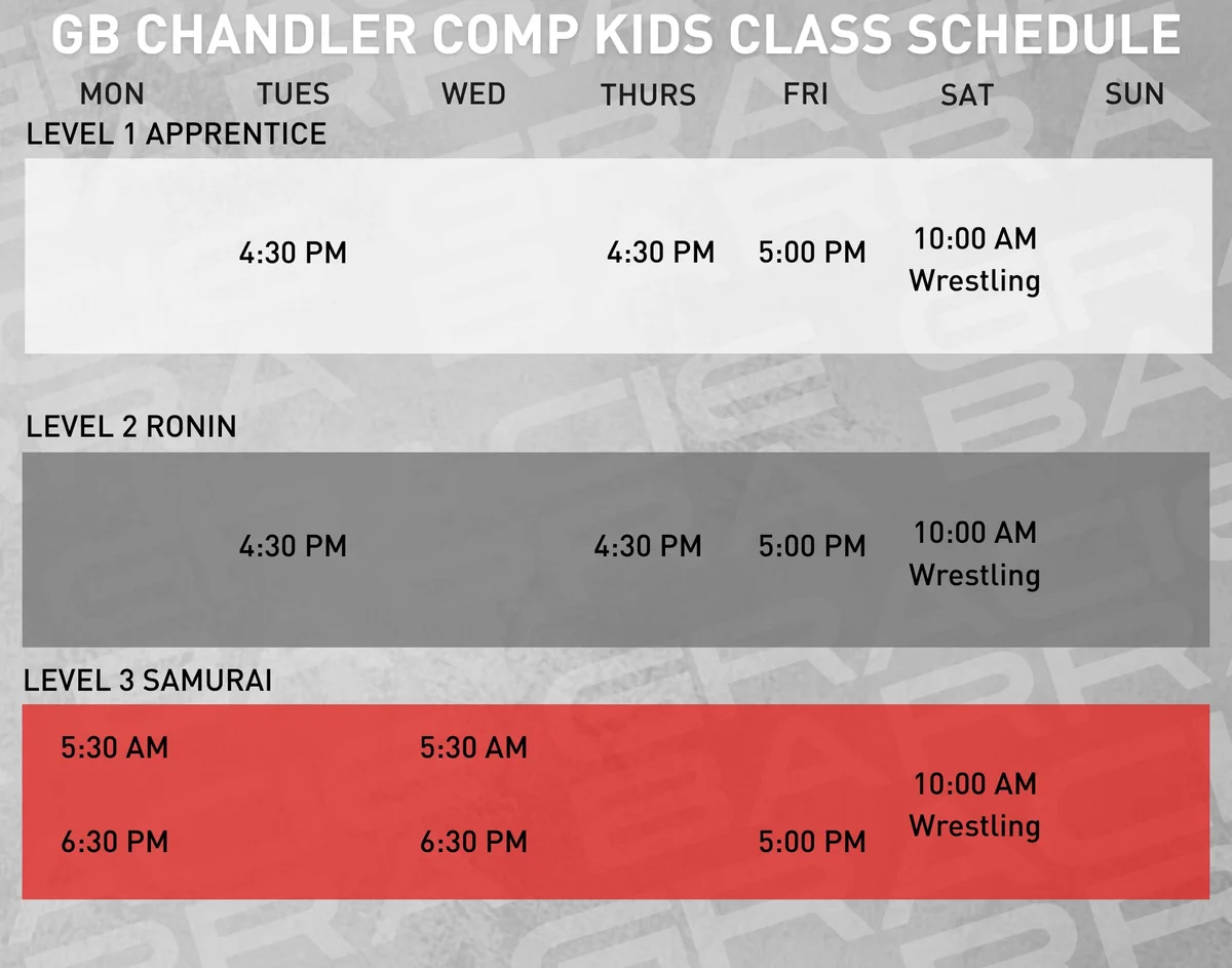 Gracie Barra Chandler facility image