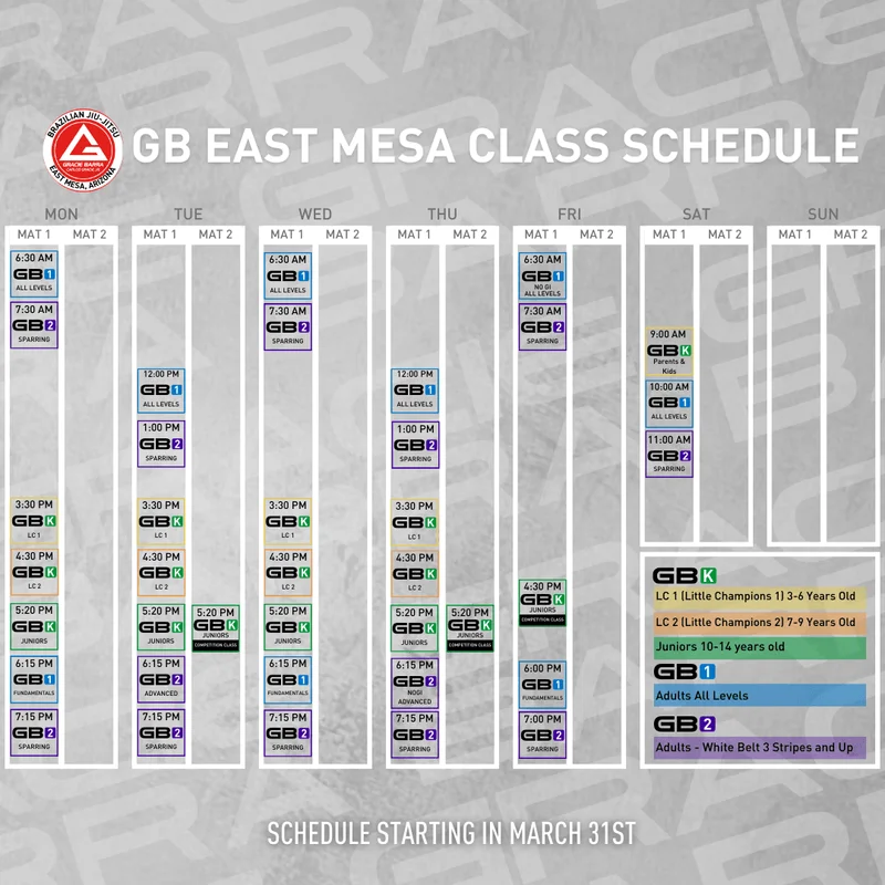 Gracie Barra East Mesa facility image