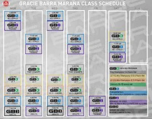 Gracie Barra Marana academy photo