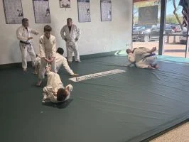 Gracie Jiu-Jitsu Anthem academy photo