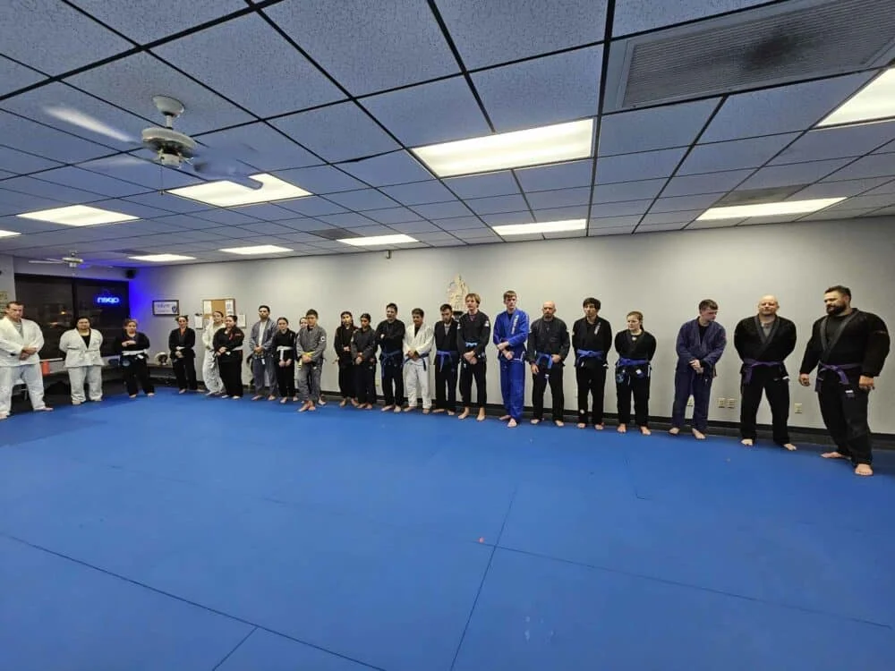 Hydra Brazilian Jiu-Jitsu academy photo