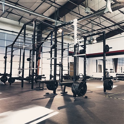 Insurgent Fitness LLC academy logo