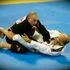 Kioto BJJ Southwest facility image